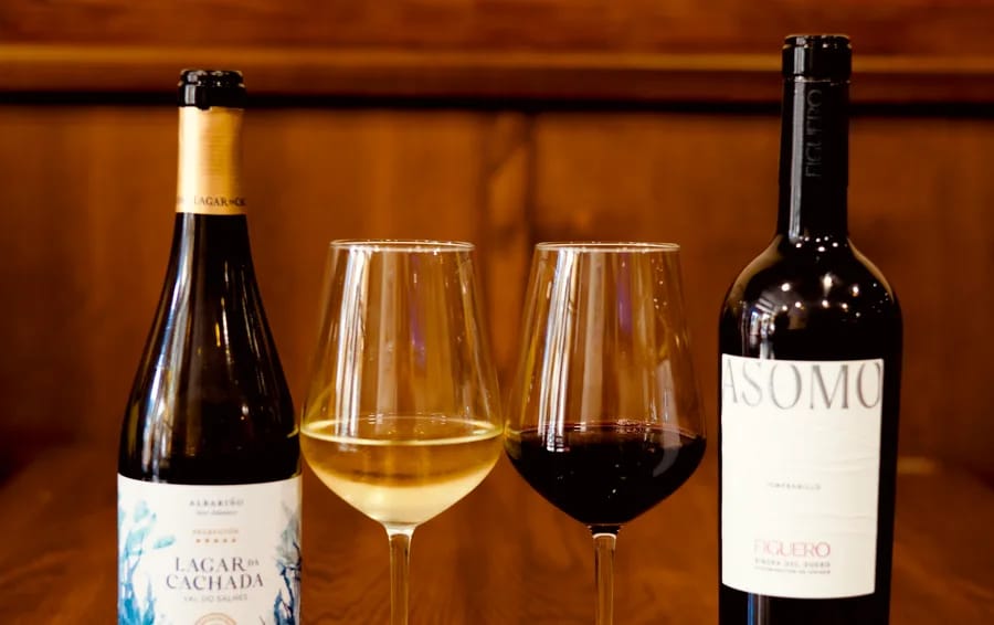 Bodega & Vinos